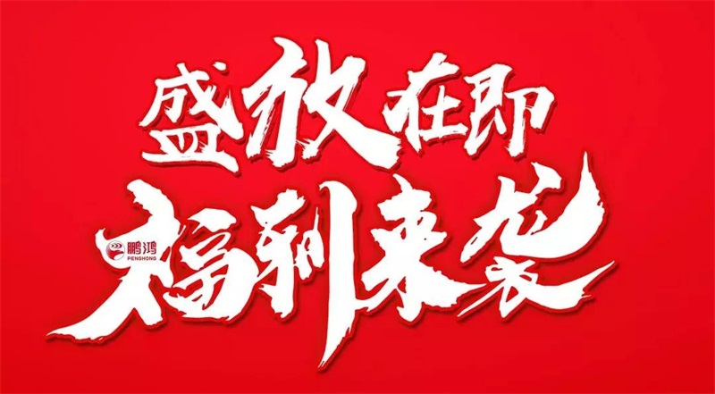 再拓疆域！鵬鴻We+定制&紅星美凱龍聯(lián)袂亮相烏魯木齊